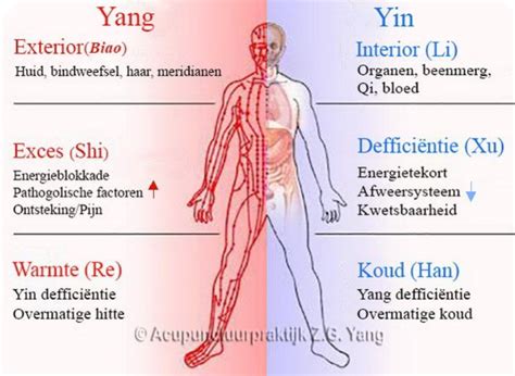 대동강변공원은 어디에 있을까요?